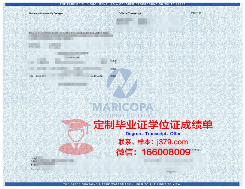 室利克里什纳大学学位成绩单定制:让留学梦想更加圆满