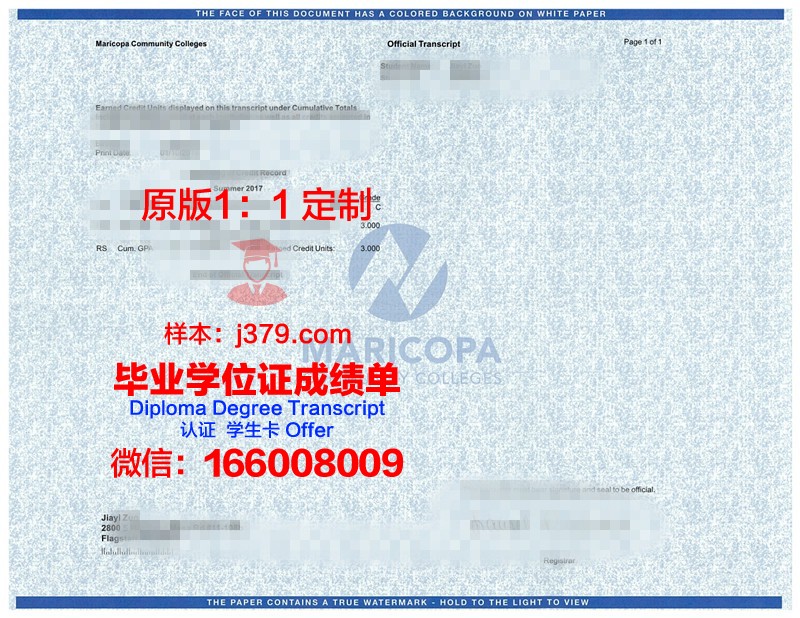 彭世洛大学成绩单：教育质量的见证