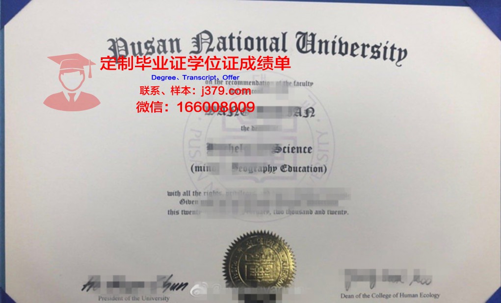 釜山大学毕业证长什么样(釜山大学本科好申请吗)