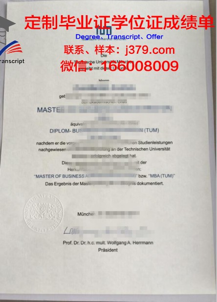 慕尼黑造型艺术学院毕业证书图片(慕尼黑设计学院)
