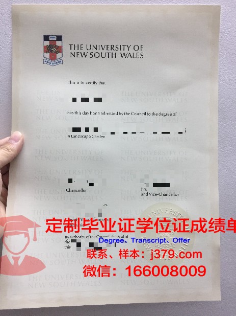 吕讷堡大学博士毕业证:学术成就的象征与人生新篇章的起点