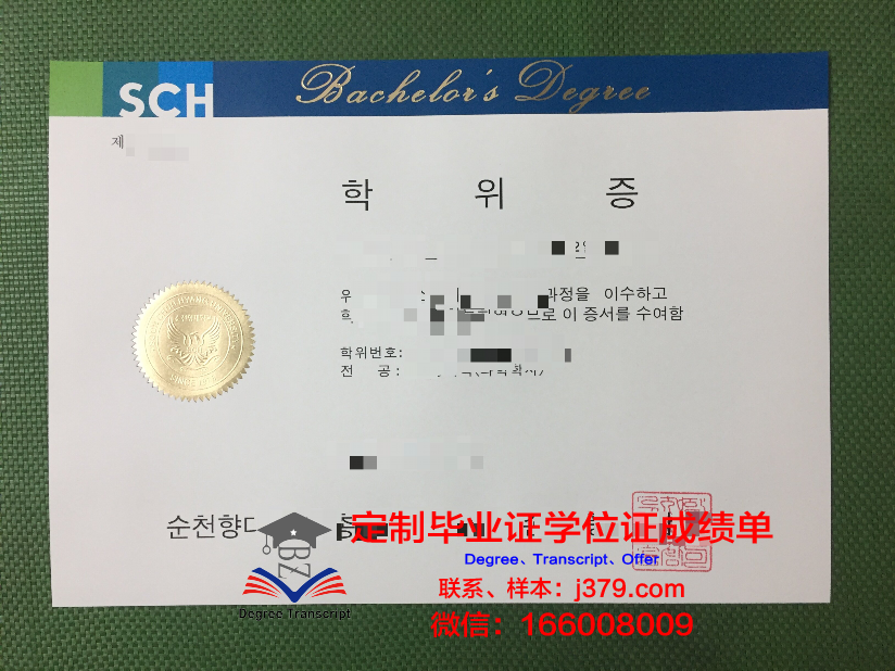 顺天第一大学毕业证书模板(第一张毕业证书)