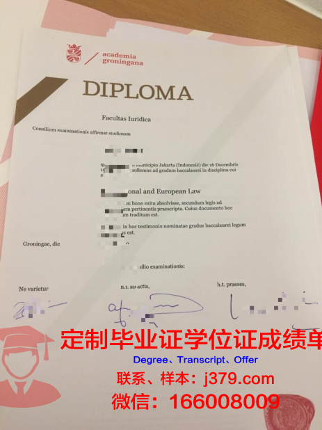 格罗宁根应用科学大学研究生毕业证(格罗宁根汉斯应用科学大学)