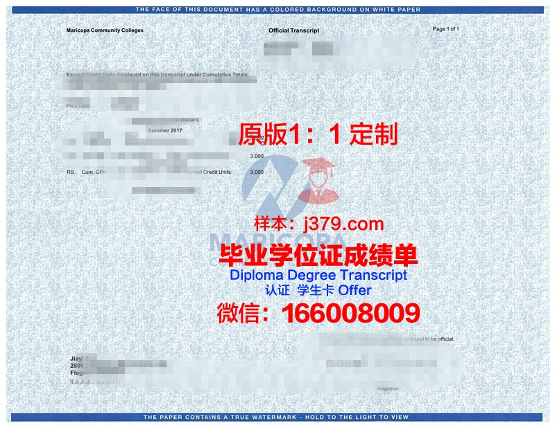 史瓦大成绩单：揭示教育本质的启示录