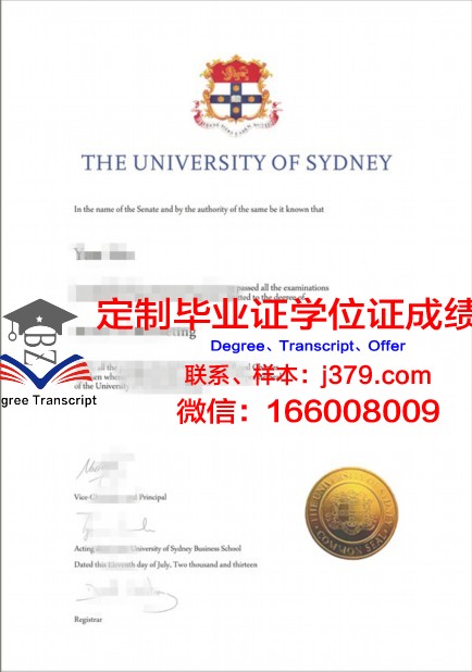 悉尼大学成绩单pdf(悉尼大学成绩单翻译)