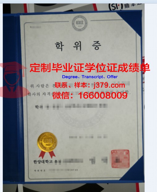卡西诺-南拉齐奥大学博士学位证：一份国际认可的学术荣誉