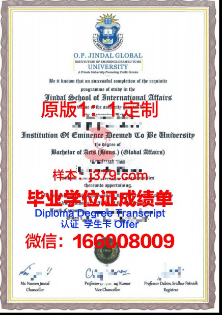 贡达尔大学毕业证是什么模样(贡达尔大学毕业证是什么模样的)