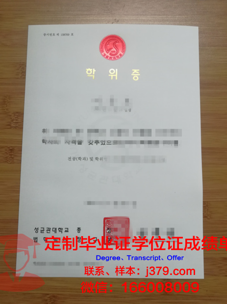 卡拉奇大学学位证定制：传承学术荣誉，彰显身份象征