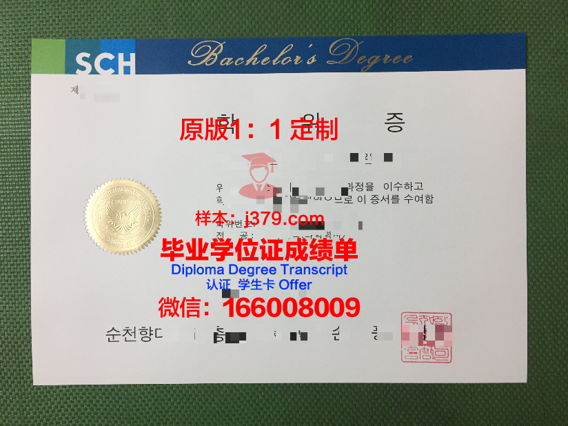 顺天第一大学diploma证书
