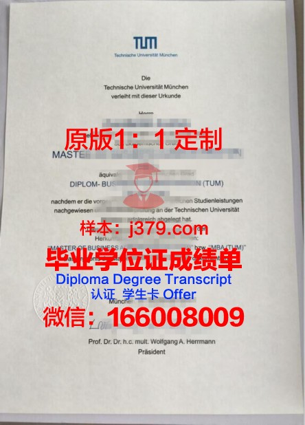 慕尼黑商学院的毕业证啥样(慕尼黑大学毕业证书)