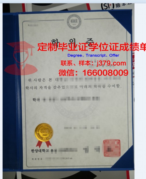 德岛大学本科学位证:一份承载荣誉与梦想的证书