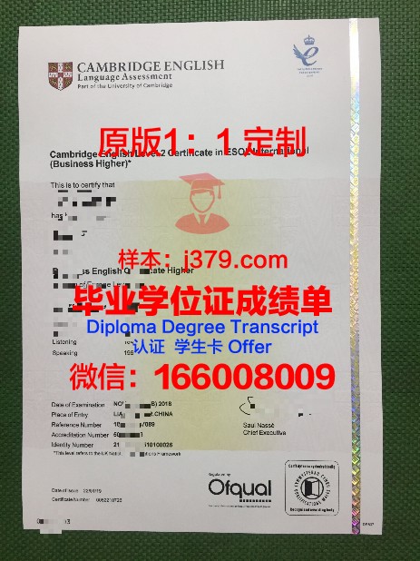慕迪圣经学院毕业证书什么颜色(慕迪神学院官网)