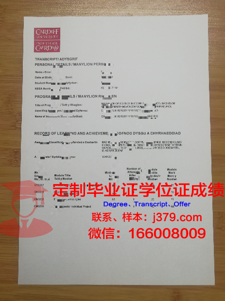 卡迪夫都市大学成绩单(卡迪夫大学卡迪夫城市大学区别)