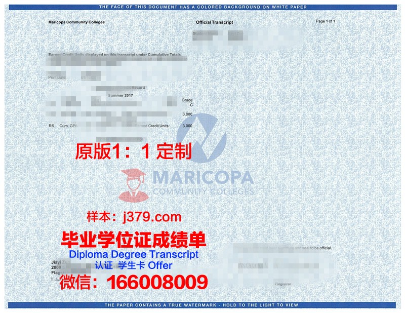 德鲁里大学学位成绩单定制：打造完美的学术简历
