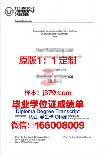 德累斯顿工程和经济应用技术大学成绩单(德累斯顿国际大学咋样)