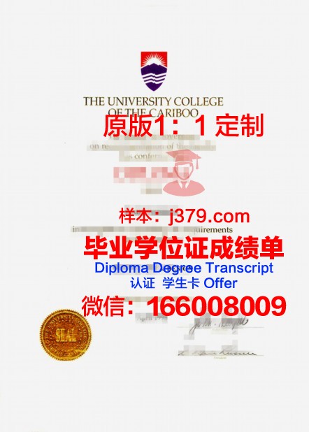 卡波什瓦大学硕士毕业证书样本