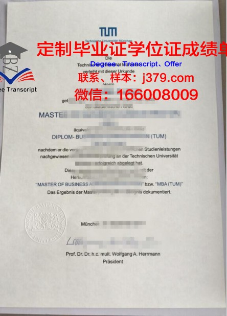 慕尼黑造型艺术学院毕业证等级(慕尼黑设计学院)