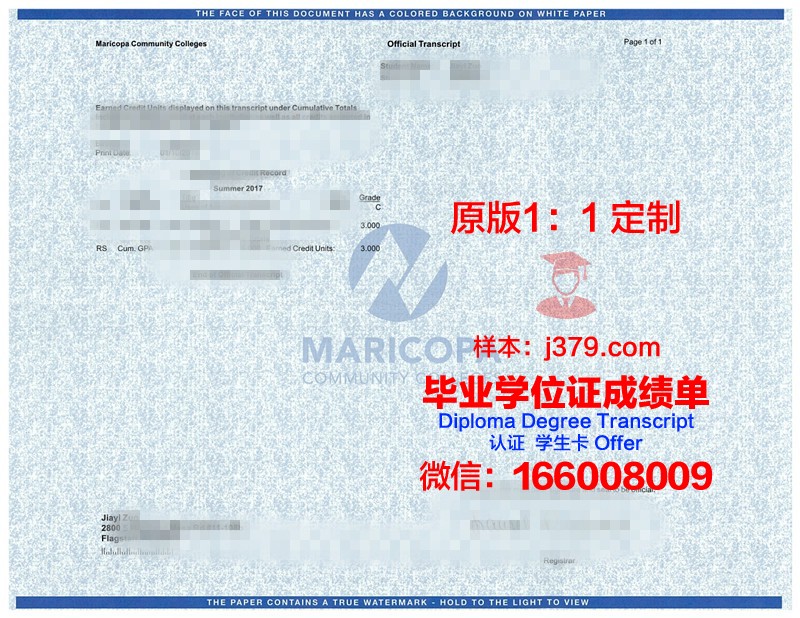 同济大学成绩单查询(同济大学成绩单自助打印)