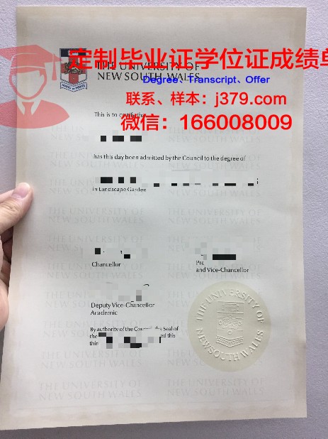 成大毕业证定制:传承与创新的艺术结晶