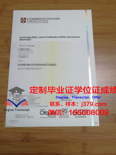 卡西诺-南拉齐奥大学毕业证书