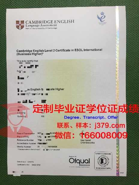名牌大学毕业证书标志:一份荣耀的象征