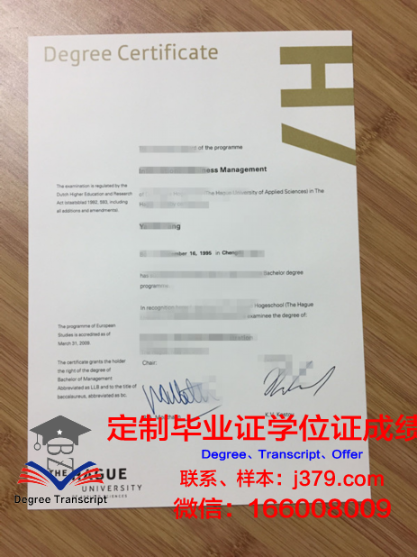 海牙艺术大学毕业证书多久收到(海牙艺术学院)