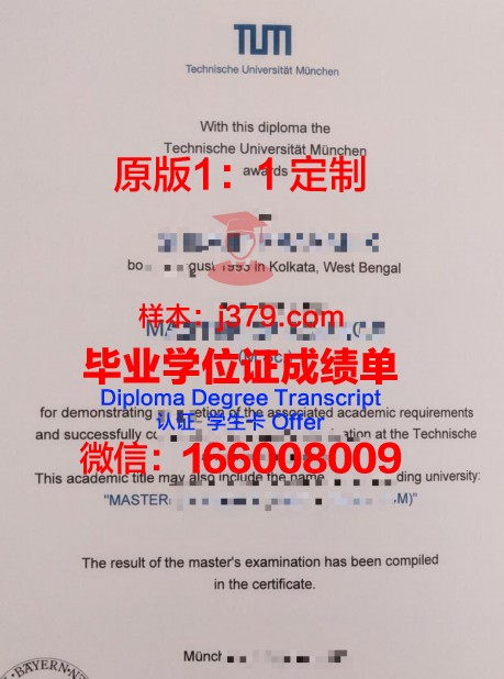 慕尼黑工业大学毕业证电子版(2021年慕尼黑工业大学毕业率)