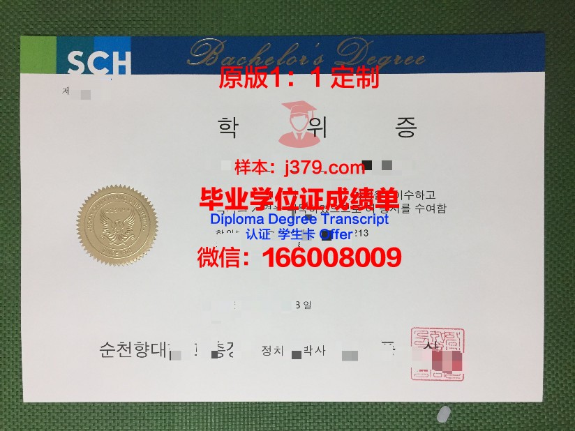 顺天第一大学学历证书