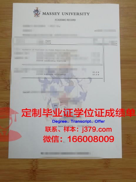 吉森大学证书成绩单(吉林大学出国成绩单)