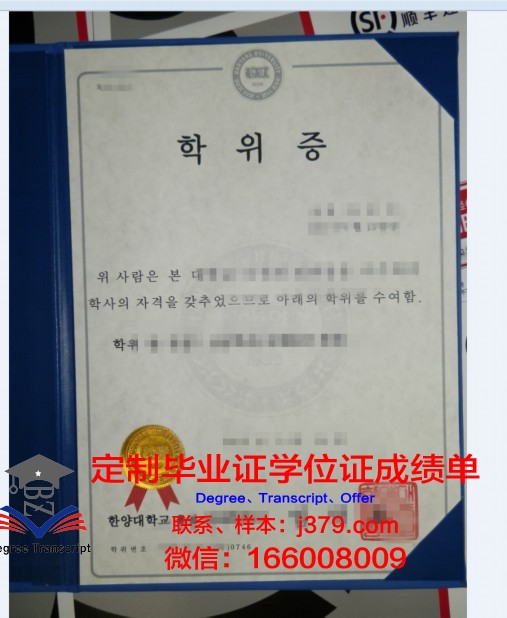 慕尼黑造型艺术学院学位证成绩单：一份跨越国界的学术荣誉
