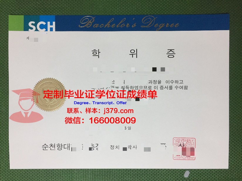 顺天第一大学diploma证书
