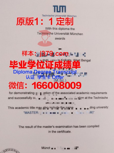 慕尼黑造型艺术学院毕业证等级(慕尼黑设计学院)
