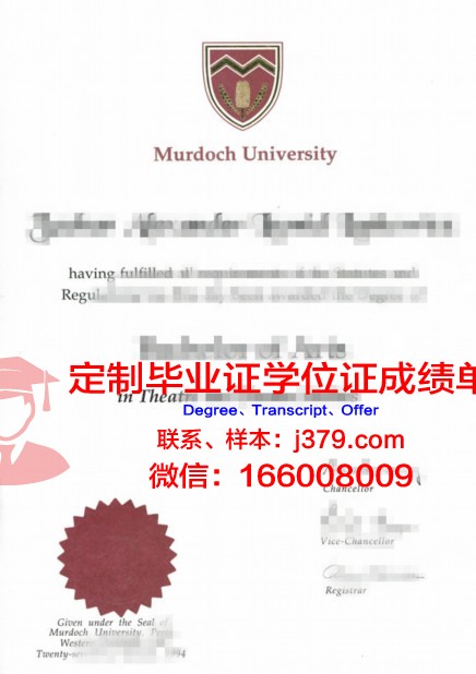 吉森本科毕业证书图片:一份跨越时空的荣誉见证