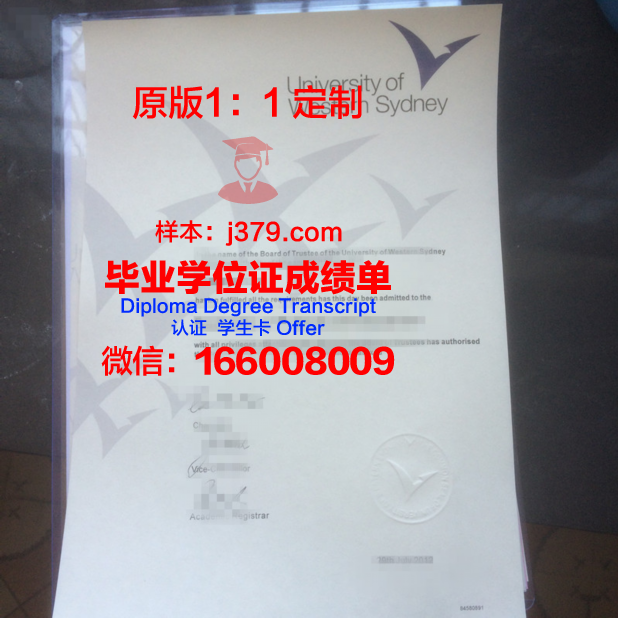 悉尼大学成绩单pdf(悉尼大学成绩单翻译)