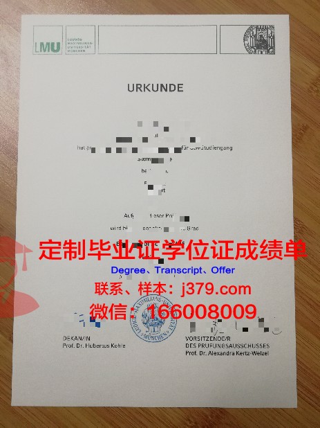 慕尼黑大学毕业证书图片高清(德国慕尼黑大学毕业证)