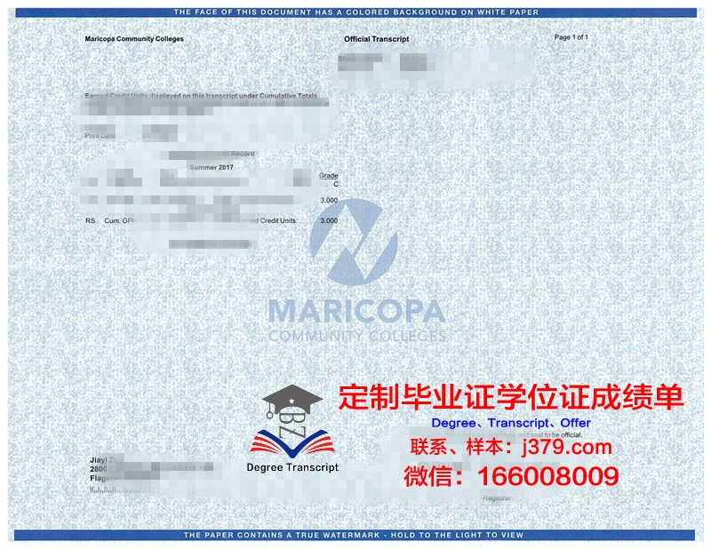 卡师成绩单：成长的印记与未来的启示