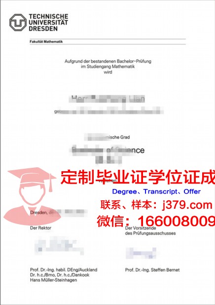 德累斯顿工程和经济应用技术大学毕业证书图片模板(德累斯顿工业大学合作项目)