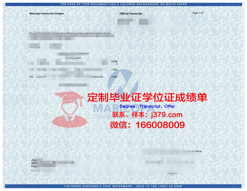 总神大学成绩单(大学本科成绩单)