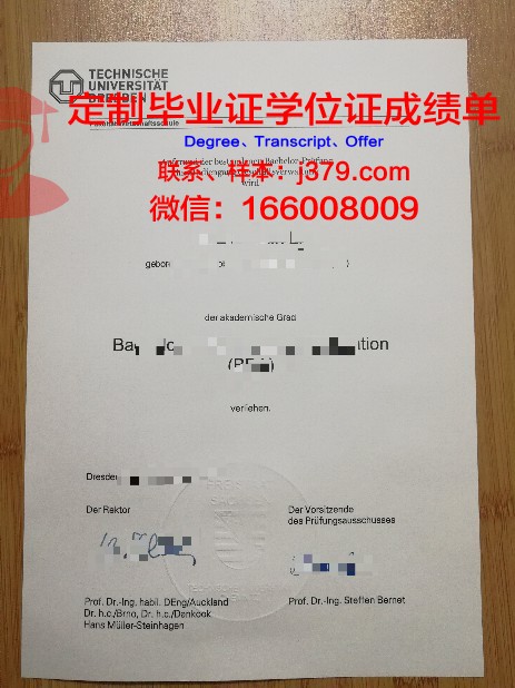 德累斯顿工程和经济应用技术大学毕业证书原件(德累斯顿工业大学毕业证)