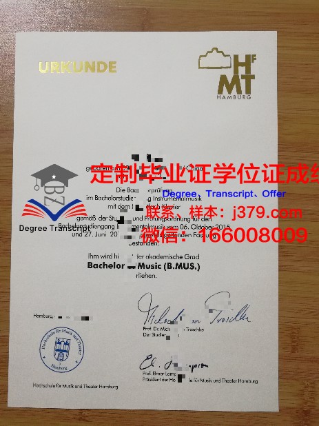 德国汉堡大学毕业证是真的吗(德国汉堡大学博士含金量高吗)