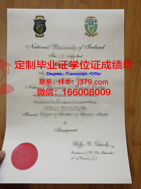 爱尔兰DBL学院 diploma 毕业证
