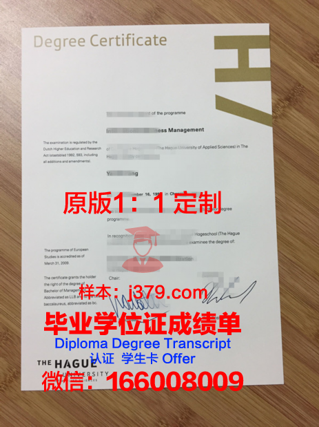 海牙艺术大学毕业证样本(艺术学院毕业证)