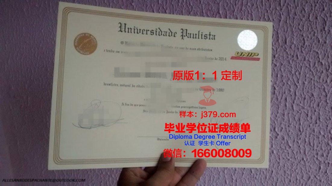 热内卢大成绩单:巴西足球的辉煌篇章