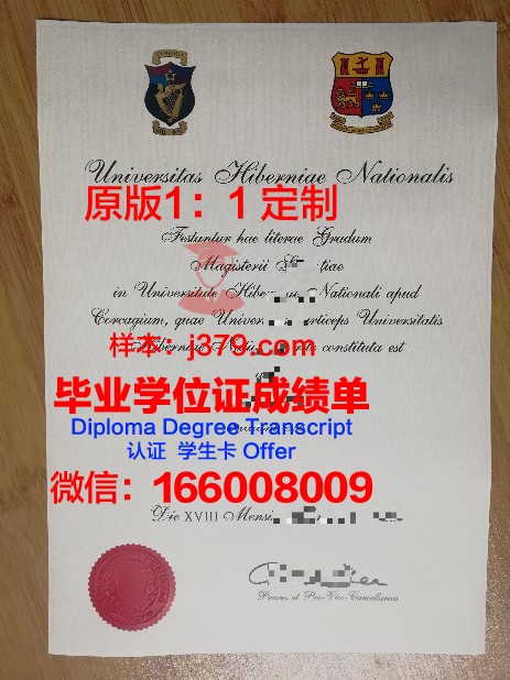 爱尔兰国立梅努斯大学毕业证认证成绩单Diploma