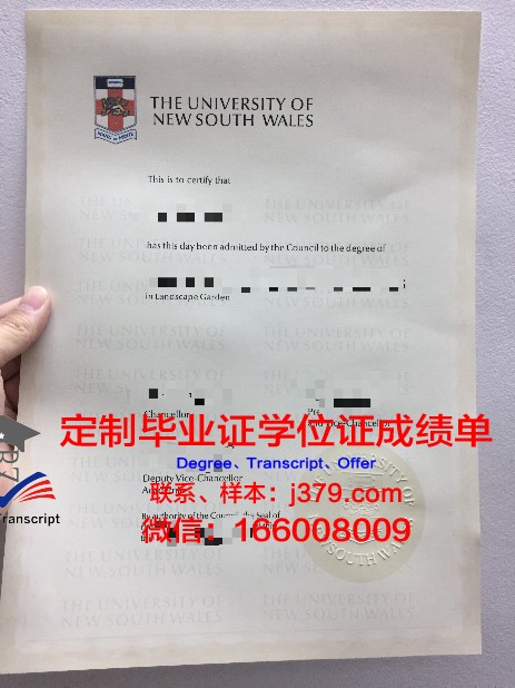 阿威大毕业证成绩单:一份青春的印记