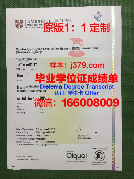 深大毕业证书图片:一张证书背后的故事