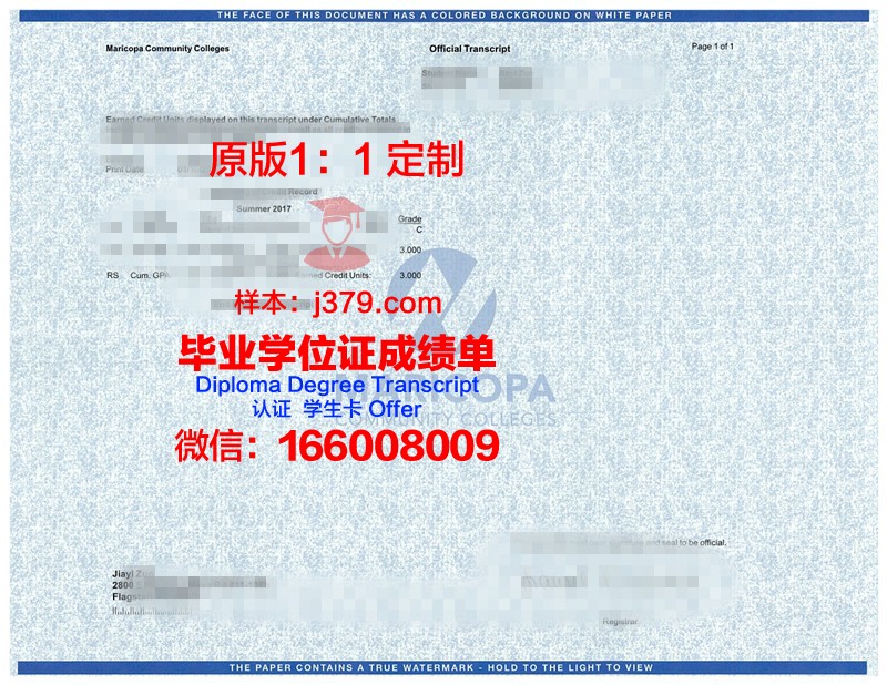 德大学成绩单:一张纸背后的故事