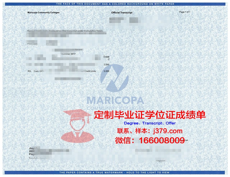 忠大学位成绩单定制:打造专属你的学术名片