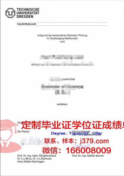 德累斯顿工程和经济应用技术大学毕业证照片(德国德累斯顿经济技术大学)