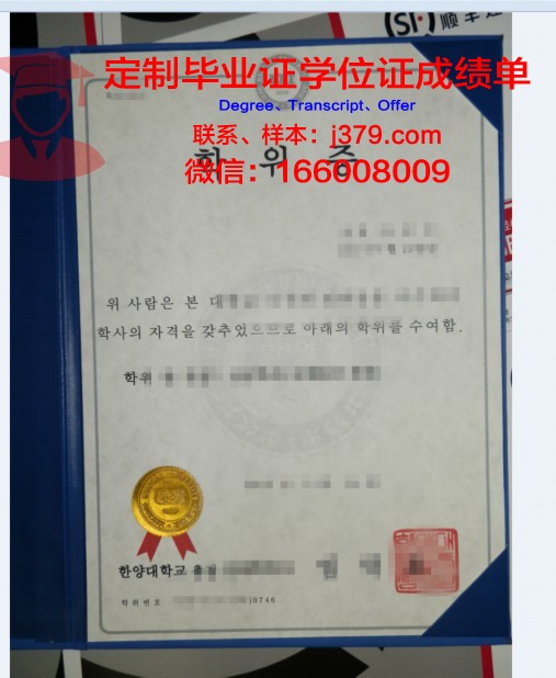 德岛大学博士学位证:一份国际认可的学术荣誉